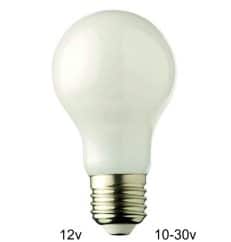12v volt E27 Filament lamp A60 4watt Melkglas